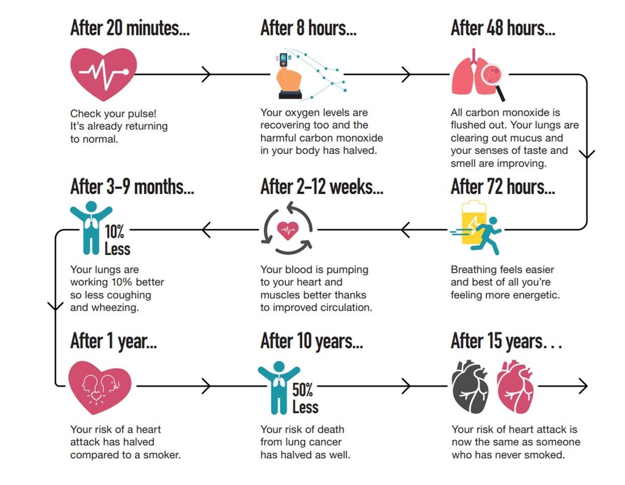 flow chart of what happens in your body at each stage from stopping smoking from 20 minutes to 15 years