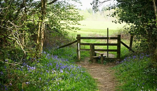 a countryside pathway