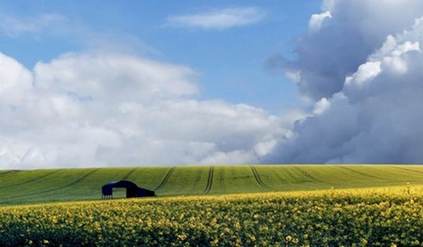 a barn in a field