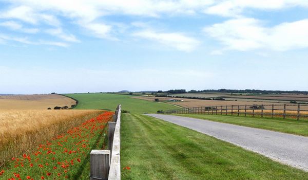 a field in the Crane Valley